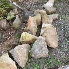 石垣用の石いりませんか？無料。の画像