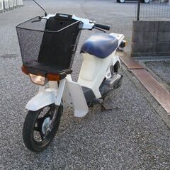 【購入済み！】稀少！走行の少ない！乗り易い！スズキモレ　FA14A（白）整備済み　実動中古車★彦根市～の画像