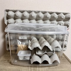 コオロギ飼育5点セット