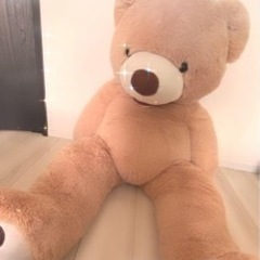 コストコ クマのぬいぐるみ大きいサイズ