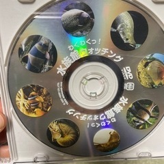 熱帯魚、水族館DVDセットの画像