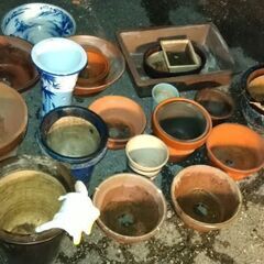 盆栽鉢　ありがとうございました!の画像