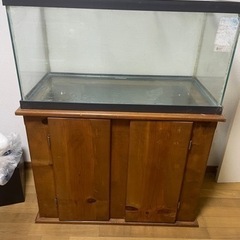 一時停止　ガラス90x45x45水槽