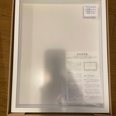 油彩額縁 F4の画像
