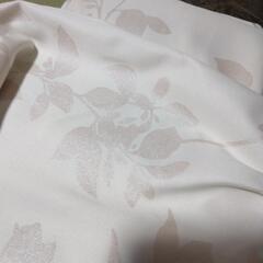 断捨離中　　カーテン2枚で1組の画像