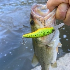 バス釣りメンバー募集