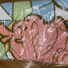 ポケモンブランケット　140✖️100　2枚あります😊の画像