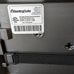セントリーセーフ　ポータブル金庫 CHW20101 防火防水の画像