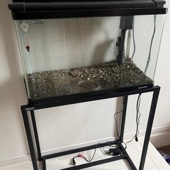 【週末価格！】60cm水槽フルセット
