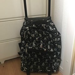 ミッキー子供サイズ旅行カバン✩.*˚