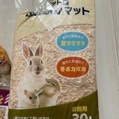 ハムスター　エサ　おやつ　マットの画像