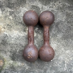 ダンベル5kg×2個