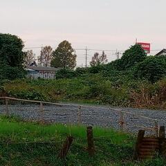 アルミ缶や鉄くずなどの資源置き場にご検討くださいませ