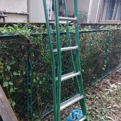 アンティークラダー