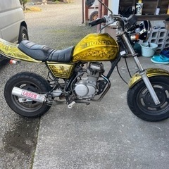 ホンダ エイプ 50