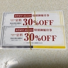 カラオケビックエコー優待券！8枚