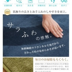 ラグ 洗える オールシーズン 200×250 3畳用 北欧 防ダニ 滑り止め付 ホットカーペット対応 床暖房対応 の画像