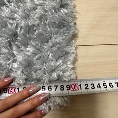 Francfranc カーペット ラグ の画像