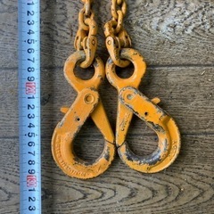 🌻値下げ🌻重量物吊り下げ1トン未満の画像
