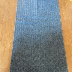 ニトリホットカーペット1畳