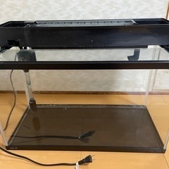 水槽　金魚　取引完了しました。
