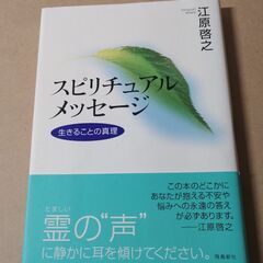 【江原啓之、2冊セット】スピリチュアルメッセージ、傷つくあなたへの画像