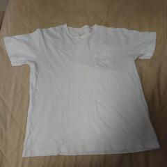 【有名メーカー】白Tシャツ４枚セット　の画像