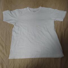 【有名メーカー】白Tシャツ４枚セット　の画像