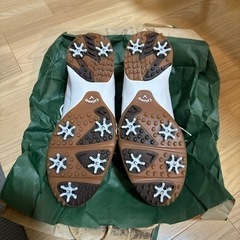 ゴルフシューズ（26.0）の画像