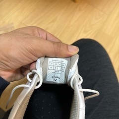 ゴルフシューズ（26.0）の画像