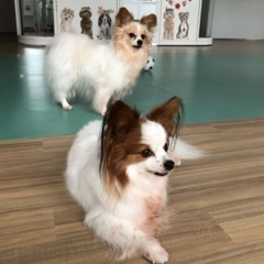 11月ワンコミーティング🐶