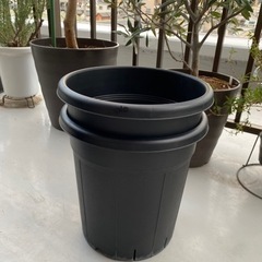 植木鉢🪴310サイズ　2個セットで