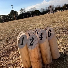 11月19日モルックand9マス鬼ごっこ交流会‼️ - 中野区
