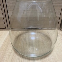 ティアドロップ型水槽