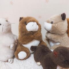 リスなど森の動物✨