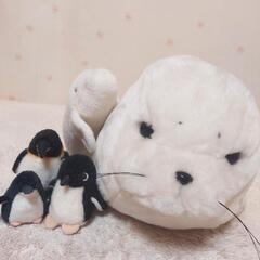 海の生き物✨