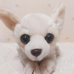 チワワのぬいぐるみ✨