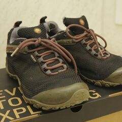 【無料】メレル　カメレオン黒（レディース）23.5cm　中古の画像