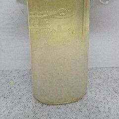 ウォーターケフィア　グレイン　黒砂糖きのこ　テキスト付きの画像