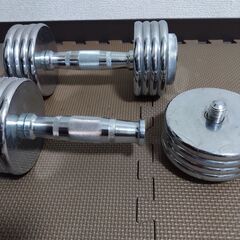 イグニオ　ダンベル　２kg~10kg　２個セットの画像