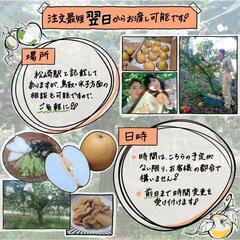【適熟】鳥取県産 王秋梨 3kgの画像