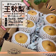 【適熟】鳥取県産 王秋梨 3kg