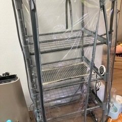 ビニール温室の画像