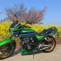 決まりました。たくさんのお問合せありがとうございました