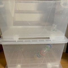 ハムスター小屋　週末&月末セール