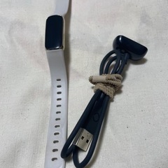 Fitbit 