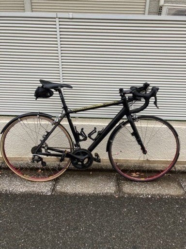 CANYON ENDURANCE AL 美品