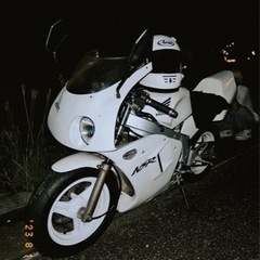 nsr50不動