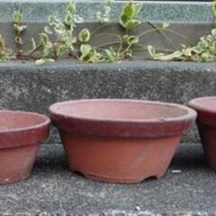 植木鉢　色々の画像