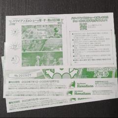 スパリゾートハワイアンズ　入場券の画像